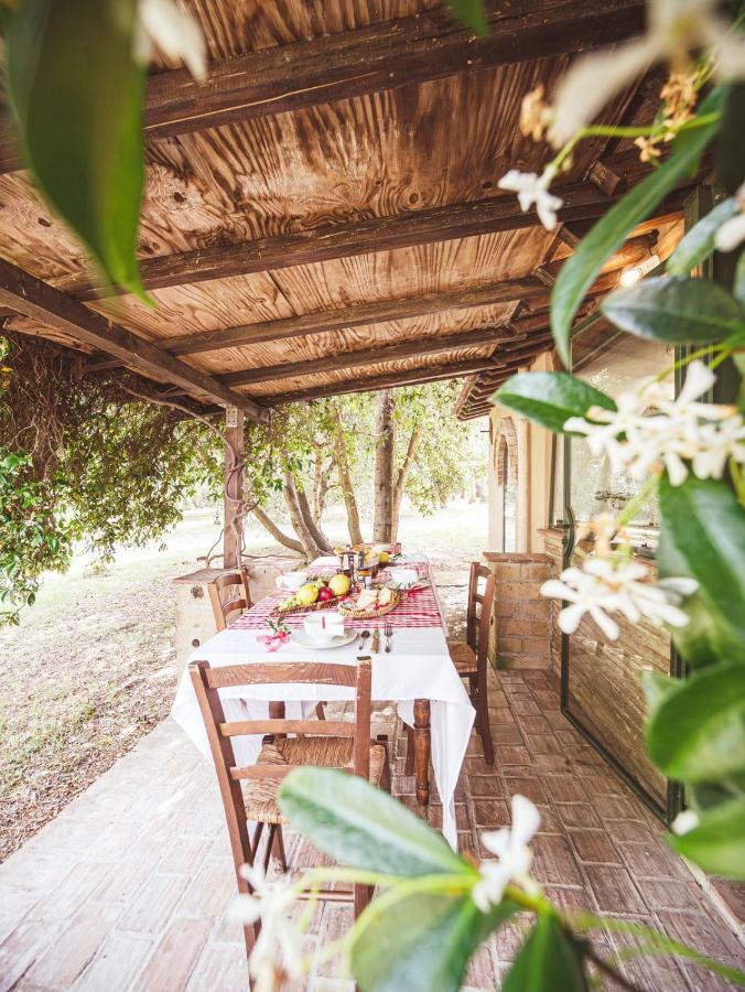 Appartamento Relais Casale Il Poggetto - I Pini By Zoom In Earth Cecina  Esterno foto