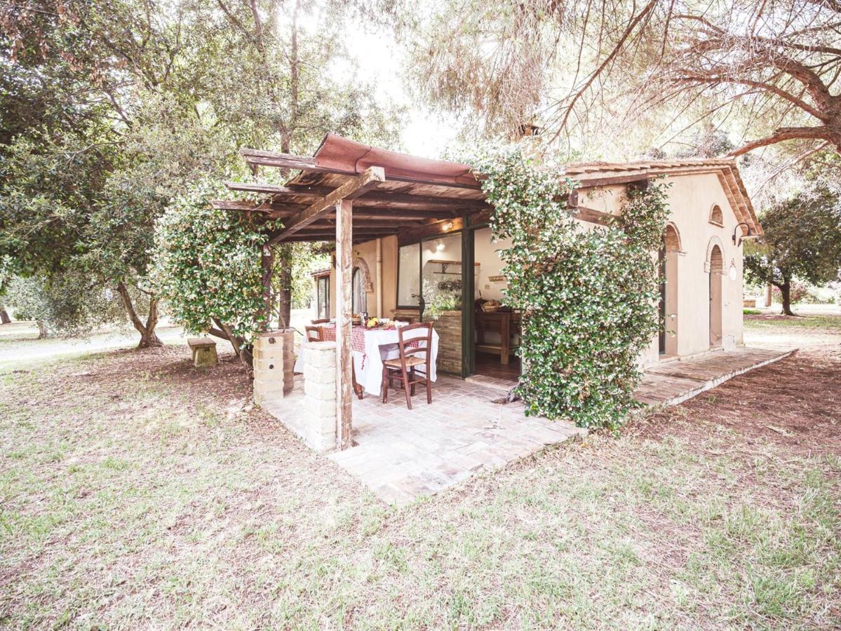 Appartamento Relais Casale Il Poggetto - I Pini By Zoom In Earth Cecina  Esterno foto